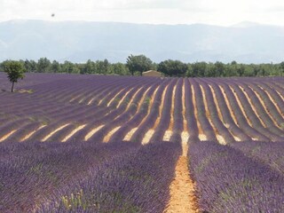 Vakantiehuis Agay Omgeving 24