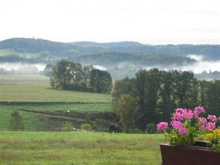 Ferienhaus Mittelndorf Umgebung 23