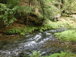 Casa per le vacanze Mittelndorf Ambiente 21