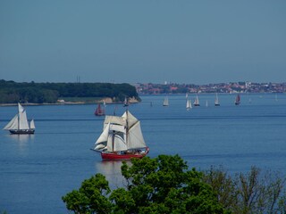 Blick aus dem Wohnzimmer auf die Flensburger Rumregatta