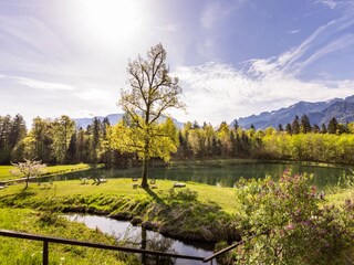 Blick vom Balkon