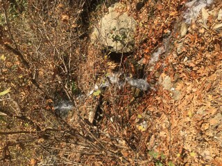 On the th way of the chestnuts in the Malcantone region