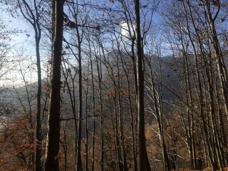 Appartamento per vacanze Lugano Ambiente 38