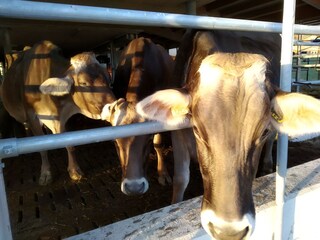 Appartamento per vacanze Terenten Registrazione all'aperto 13