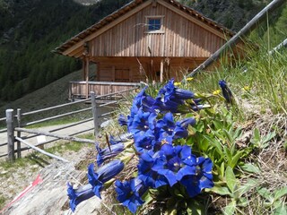 Appartamento per vacanze Terenten Ambiente 27