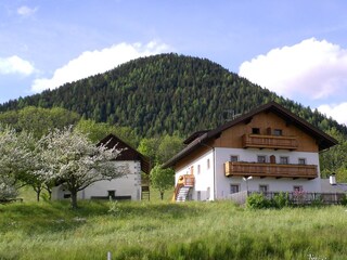 Appartamento per vacanze Terenten Registrazione all'aperto 12