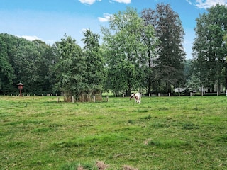 Ferienhaus De Lutte Umgebung 34