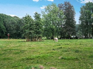 Maison de vacances De Lutte Environnement 34