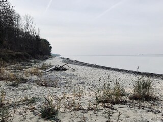 The natural beach