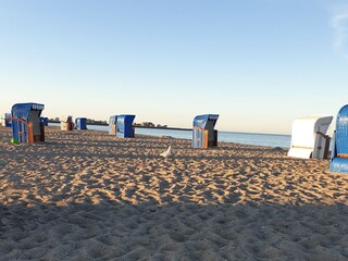 Weidefelder Strand