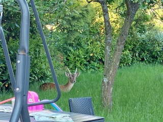 Besuch :-)