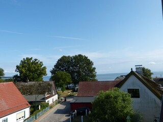 Blick auf die Haffküste