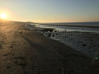 Casa per le vacanze Kamperland Ambiente 33
