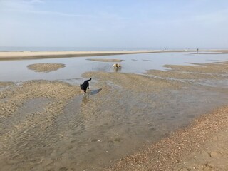 Casa per le vacanze Kamperland Ambiente 34