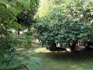 Casale Cenac-et-Saint-Julien  10