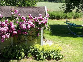 Gartenblick