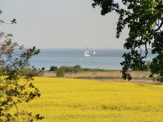 Blick von der Terrasse