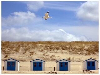 Vakantieappartement De Koog Omgeving 14