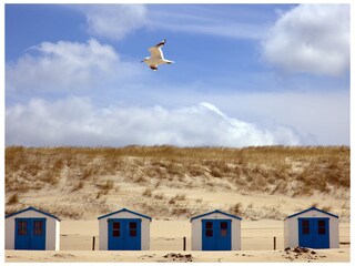 Appartement De Koog Omgeving 14
