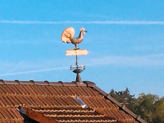 Apartment Marktheidenfeld Outdoor Recording 11