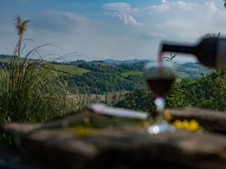 Excellent wines produced locally, wine tours organised!