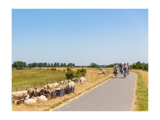 Cycling in the beautiful surroundings