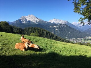 Auf dem Weg zur Jenner Mittelstation