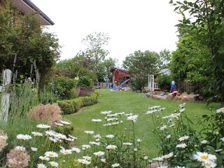 Blick in den Garten