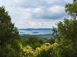 Apartment Tuoro sul Trasimeno Umgebung 26