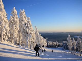 Winter auf dem Wurmberg