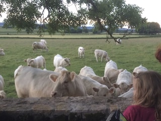 Casa per le vacanze Jouey Registrazione all'aperto 9