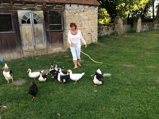 Casa per le vacanze Jouey Registrazione all'aperto 11