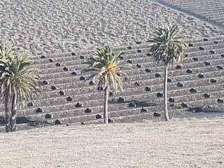Appartamento per vacanze Tías Ambiente 33