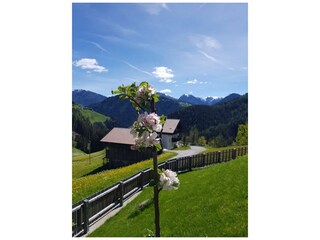 Chalet Enneberg Ambiente 26