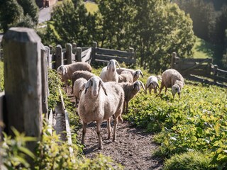 Chalet Enneberg Ambiente 29