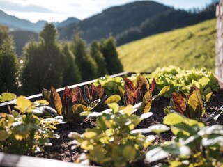 Chalet Enneberg Ambiente 30