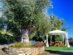 Ferienhaus Olive Lodge - Civezza - image1