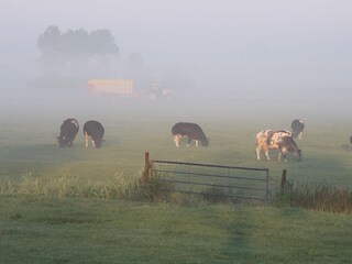 Fruh in der Morgen