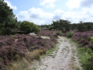 Casa per le vacanze Alkmaar Ambiente 40