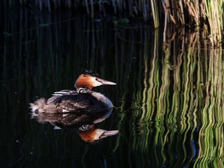 Casa per le vacanze Alkmaar Ambiente 35