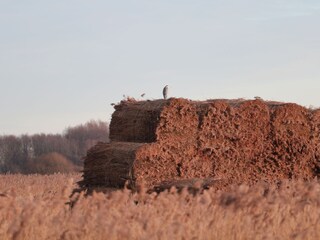 Casa per le vacanze Alkmaar Ambiente 36