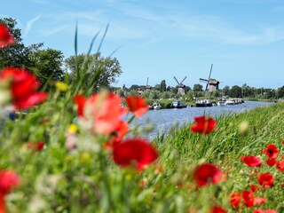 Casa per le vacanze Alkmaar Ambiente 22