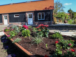 Vakantiehuis Alkmaar Buitenaudio-opname 2