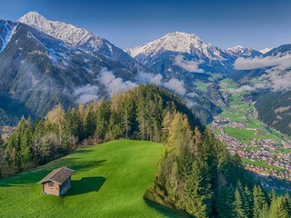 Bergfrühling