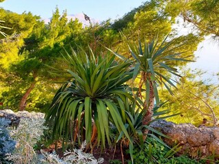 Appartamento per vacanze Lokva Rogoznica Ambiente 35