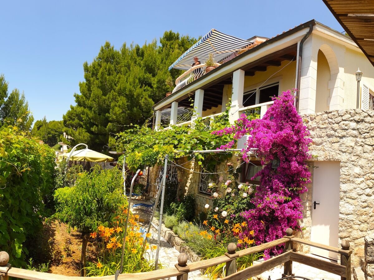 Schöner Garten mit mediterranen Pflanzen.