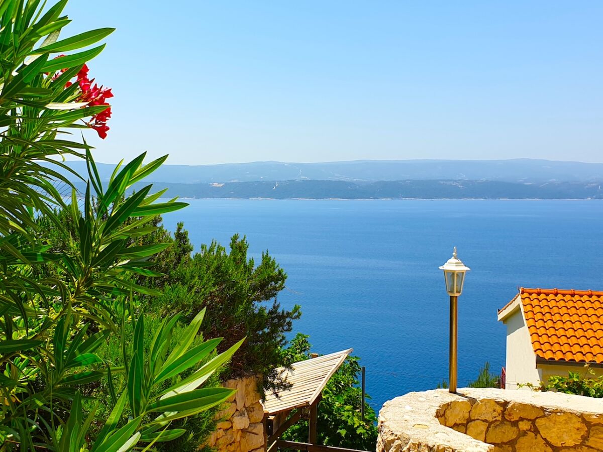 Garten mit Blick auf das Meer.