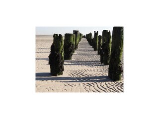 Apartamento de vacaciones Wangerooge Grabación al aire libre 18