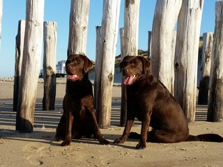 Vakantiehuis Vlissingen Omgeving 21