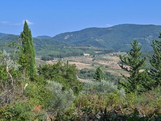 Appartement Greve in Chianti Environnement 28